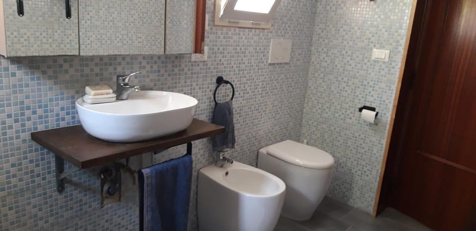 Shower, Bathroom, bidet