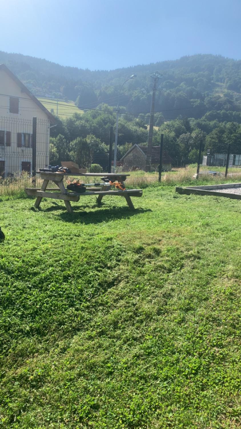 Property building, Garden, Garden view