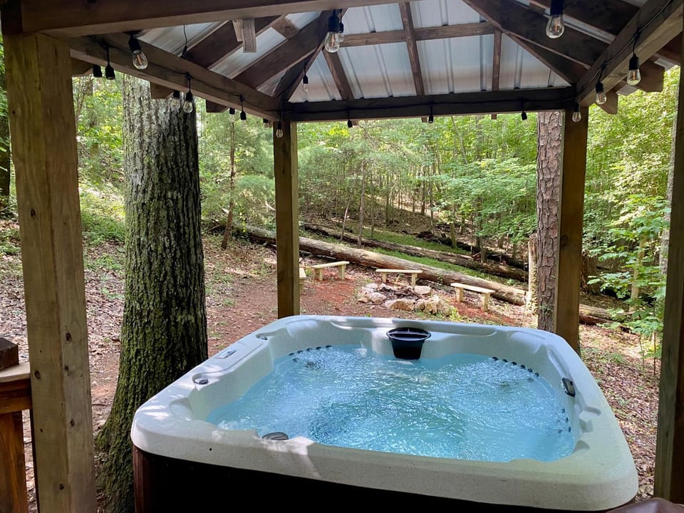 Natural landscape, Garden, Hot Tub, Garden view
