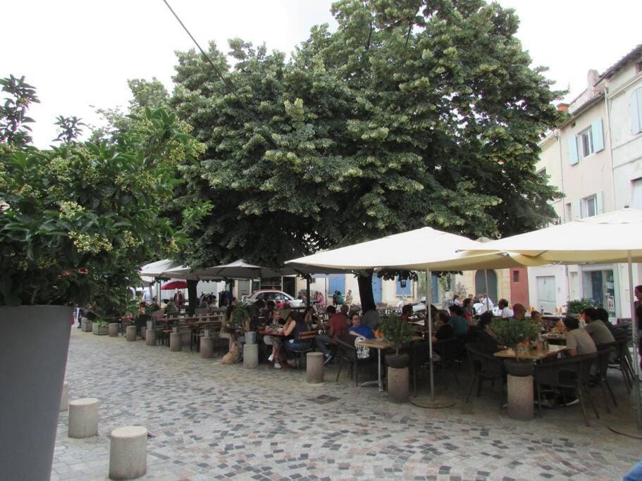 Le studio de l'artiste. Apartment in Arles