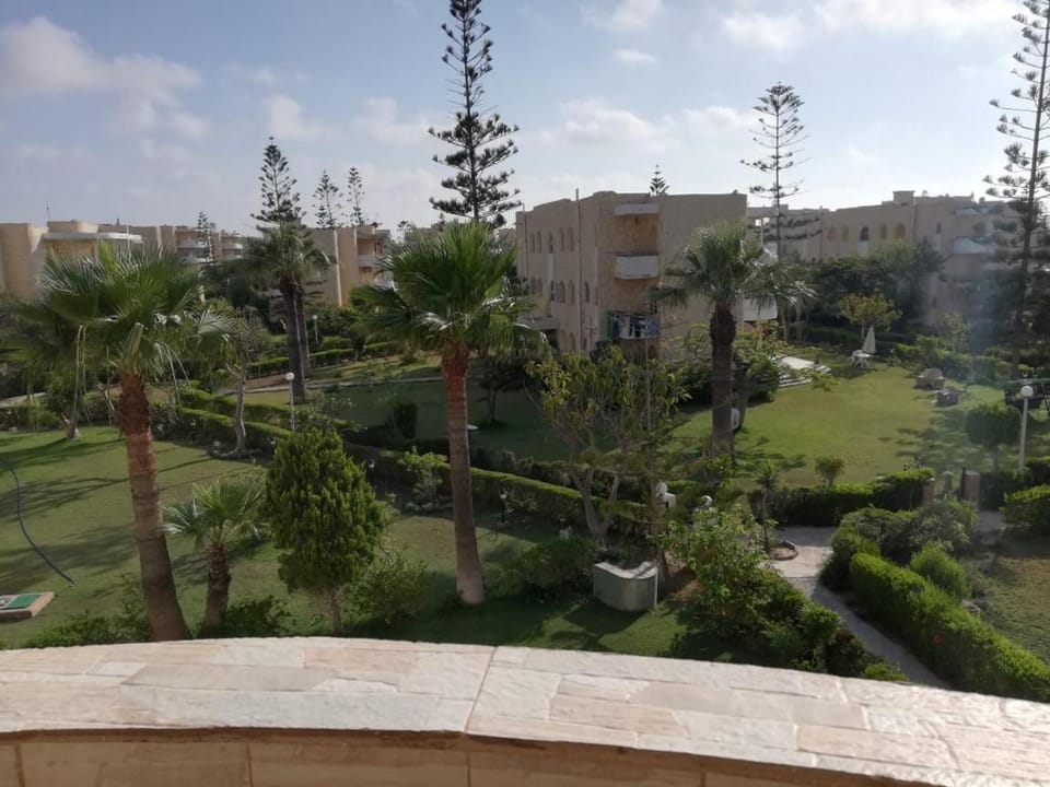 Natural landscape, Garden, Garden view