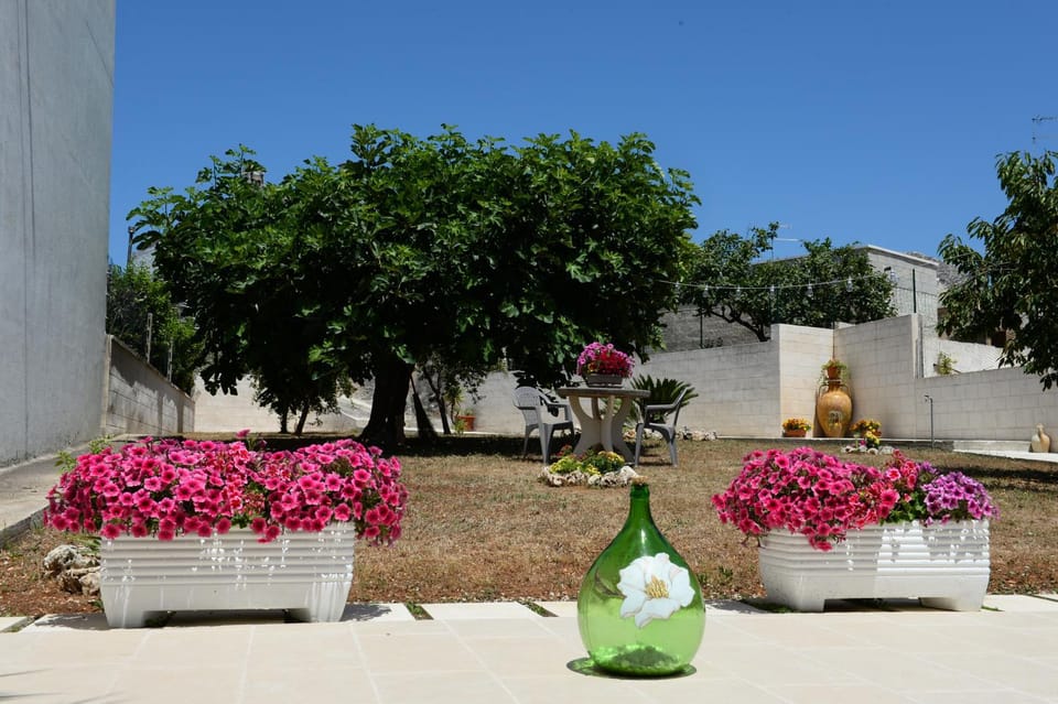 Day, Garden, Garden view