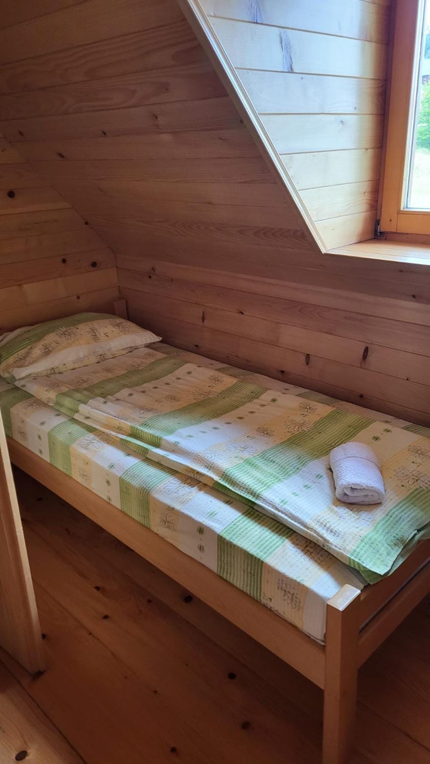 Brvnare Libero TARA House in Zlatibor District, Serbia