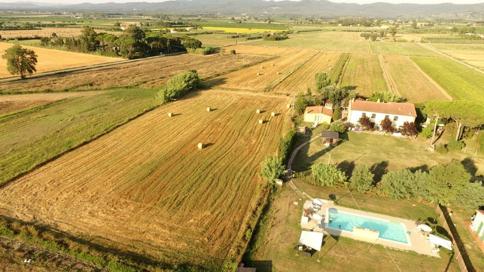 Bird's eye view, Garden view