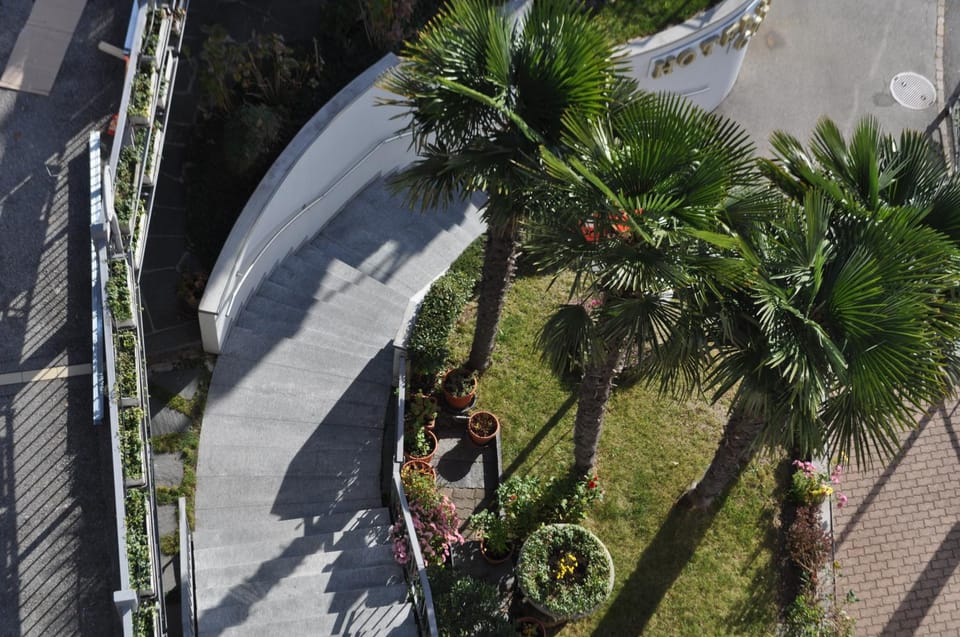 Bird's eye view, Garden