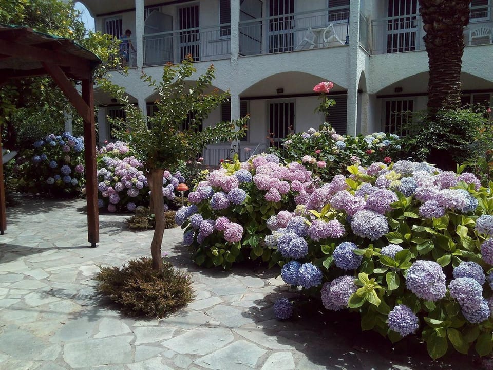 Margarita Apartments Apartment hotel in Peloponnese, Western Greece and the Ionian