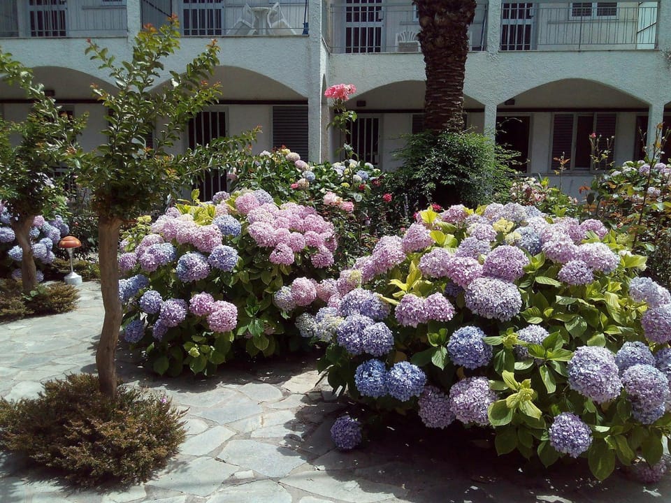 Margarita Apartments Apartment hotel in Peloponnese, Western Greece and the Ionian
