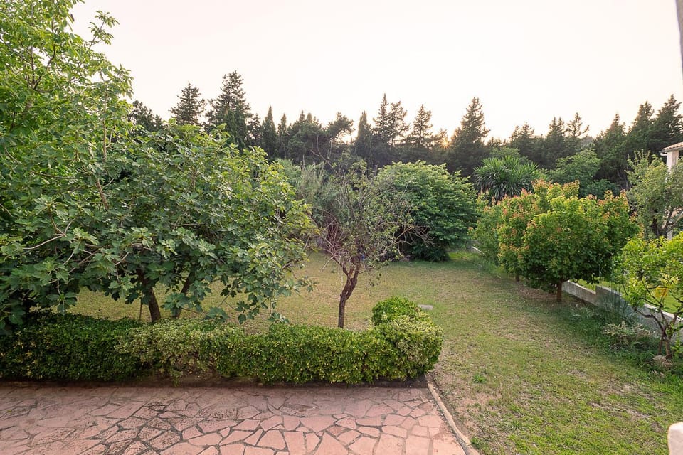 XENOFONTAS APARTMENTs Apartment in Corfu, Greece