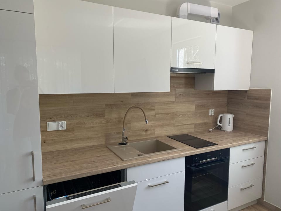 Kitchen or kitchenette, dishwasher, minibar, pet friendly, stove