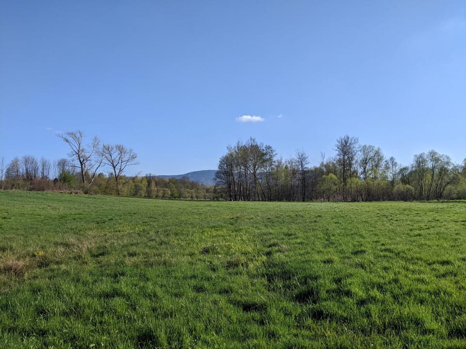 Natural landscape