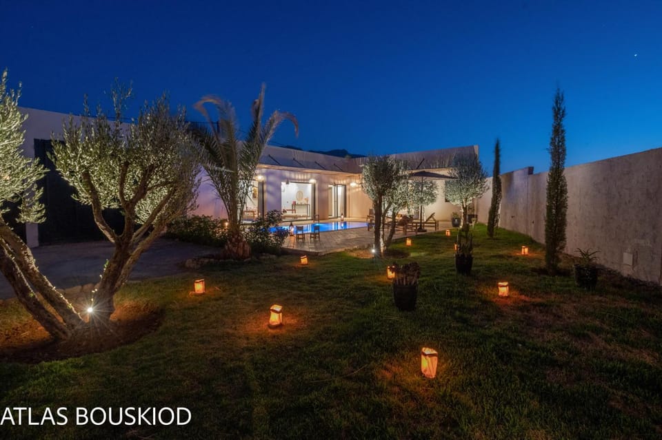 Night, Garden, Garden view