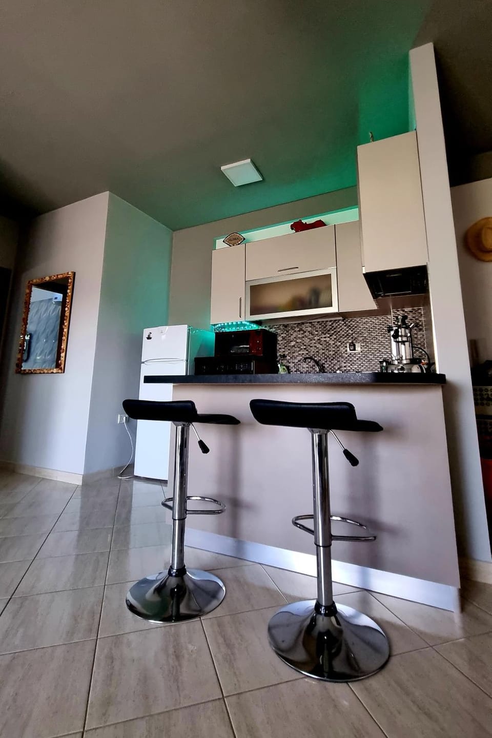 Kitchen or kitchenette, minibar, pet friendly, stove