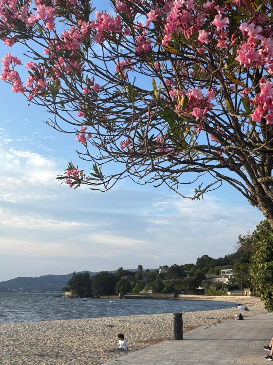 Apartamentos A Illa Apartment in Galicia