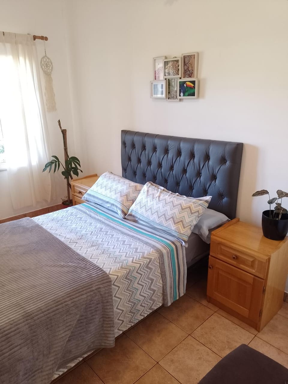 Bed, Photo of the whole room