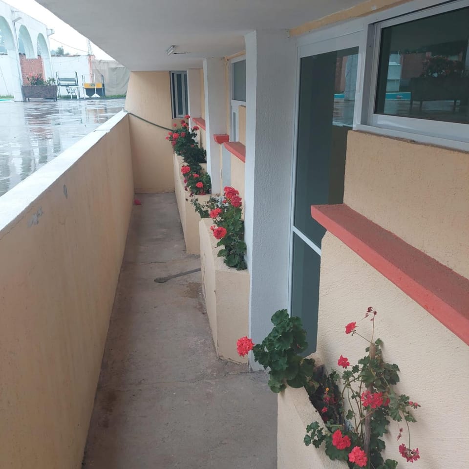 Eva's paradise Hotel in State of Puebla