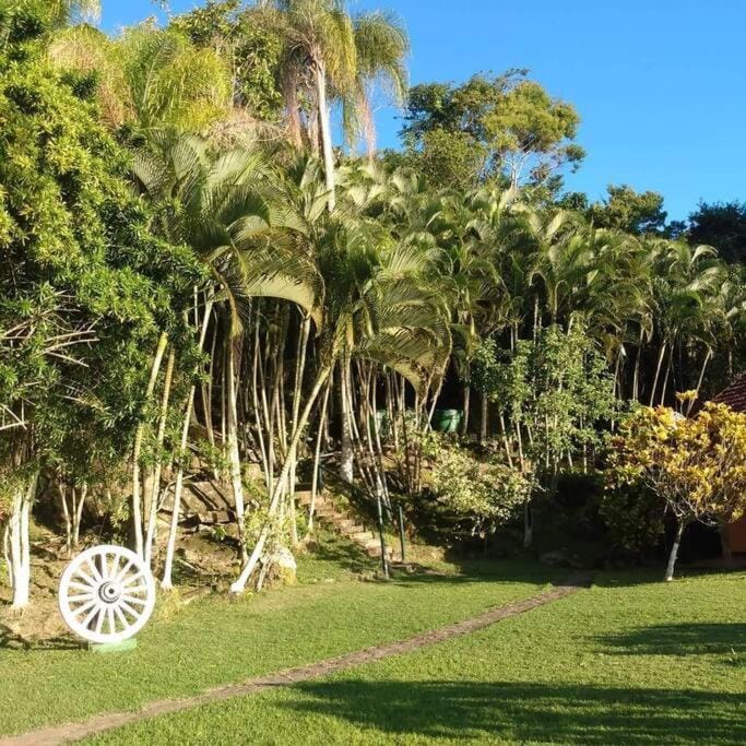 Natural landscape, Garden view