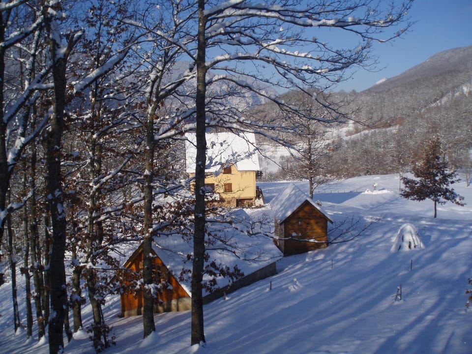 Guest House Tara Canyon Bed and Breakfast in Zlatibor District, Serbia