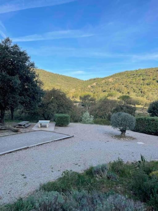 Natural landscape, Garden, Table tennis, Mountain view