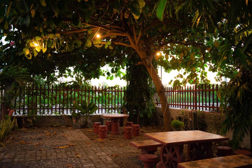 Day, Garden, Garden view