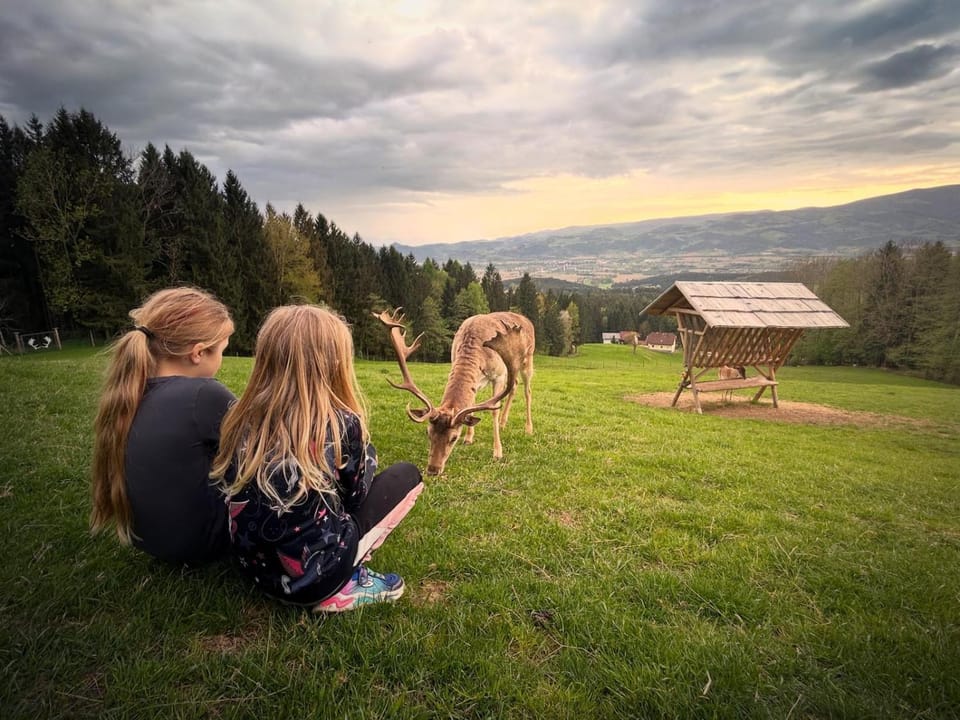 Ferienhütte Simon Gregor Apartment in Carinthia, Austria