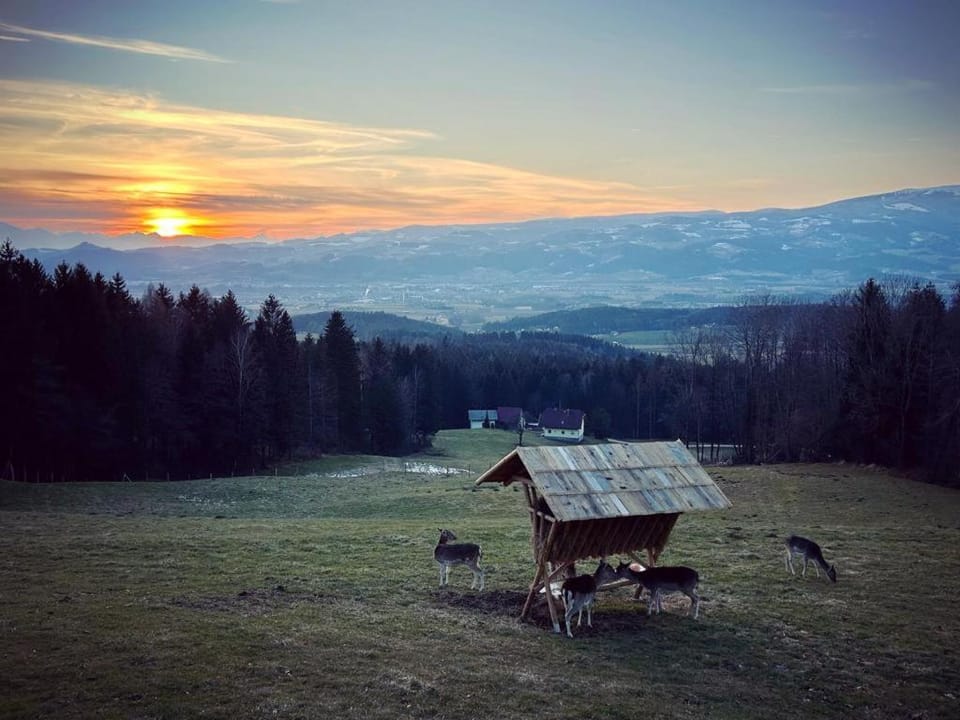 Ferienhütte Simon Gregor Apartment in Carinthia, Austria