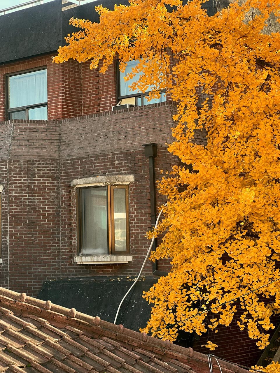 Jnineguesthouse Bed and Breakfast in Seoul