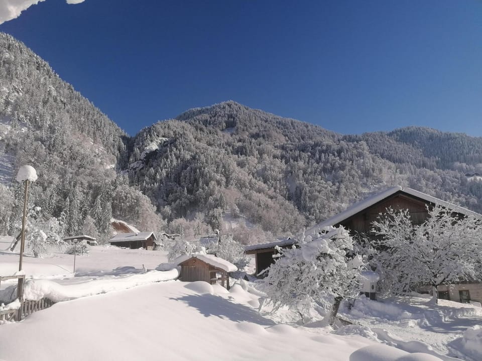 Mountain view