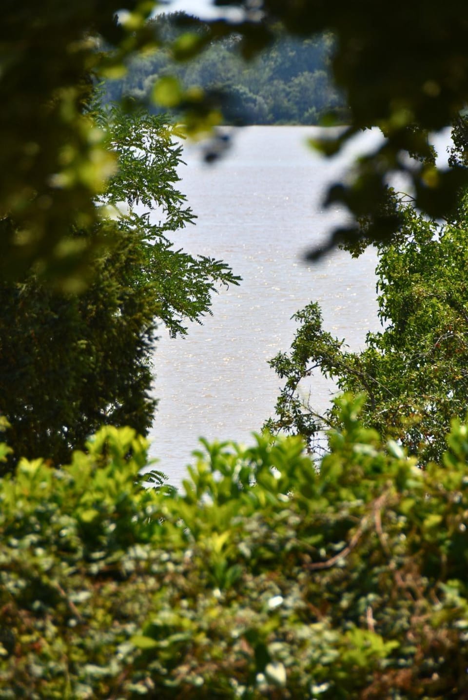 River view