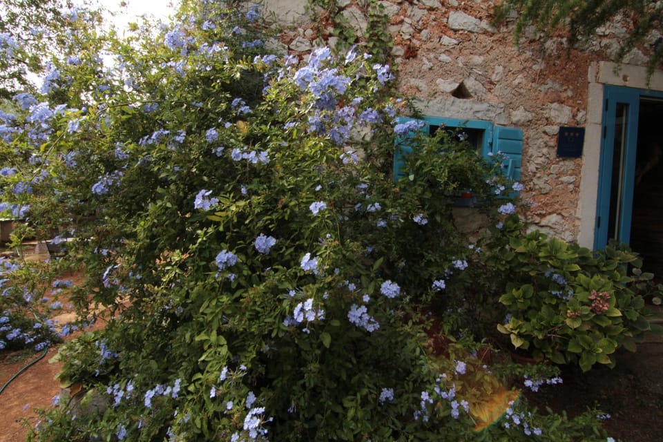 Facade/entrance, Garden view, Area and facilities
