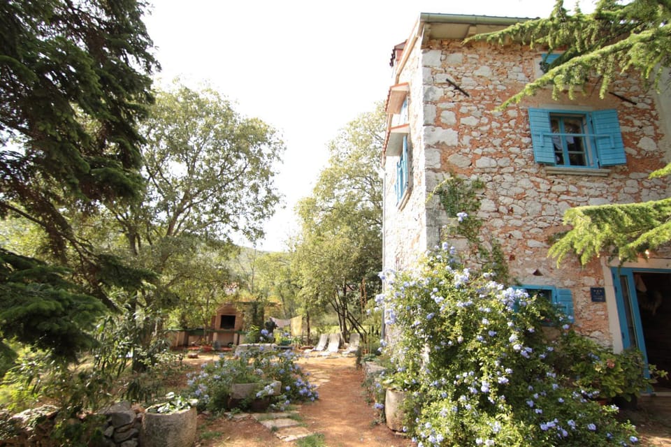Facade/entrance, Garden