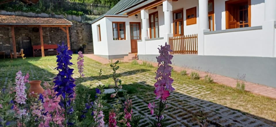 Property building, Day, Garden, Inner courtyard view