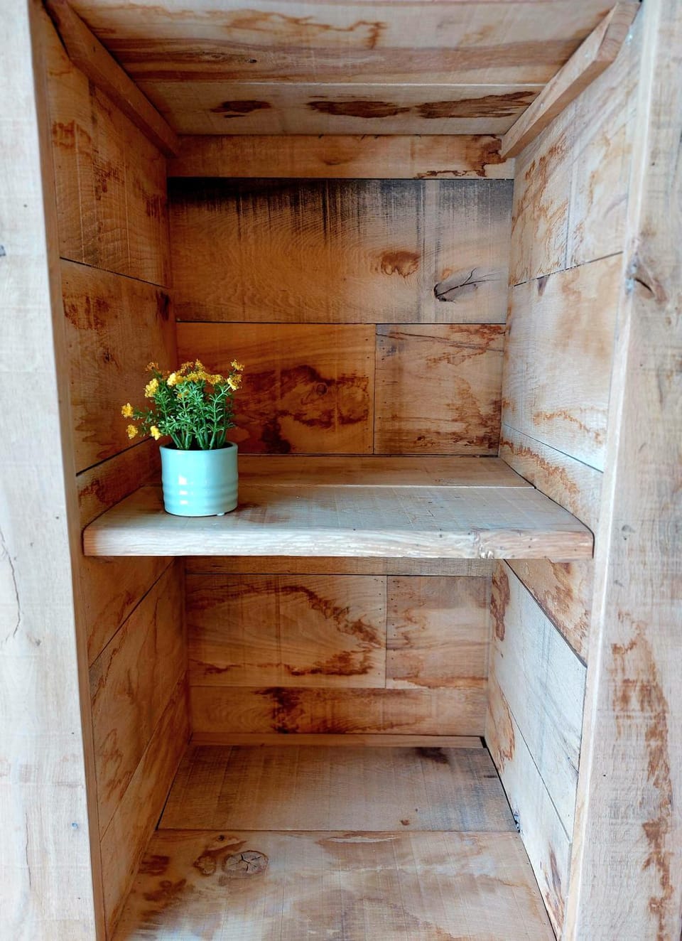 MyDeer - Deluxe rooms & shared kitchen Bed and Breakfast in Wallonia, Belgium