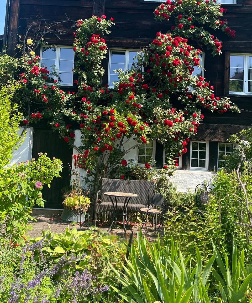 Charming alps apartment perfect for walk/cycle/ski Apartment in Canton of Zurich