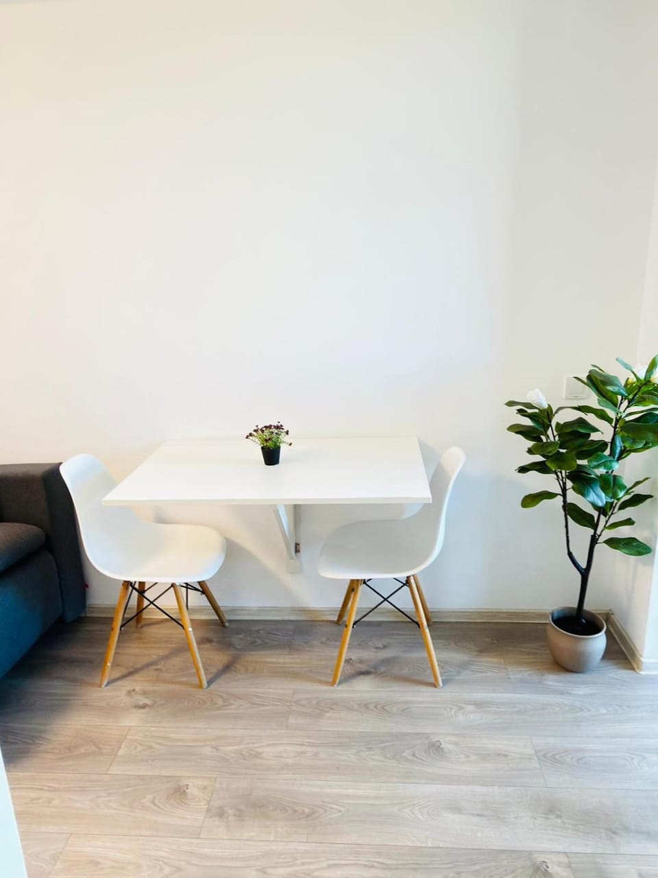 Dining area, hair dresser