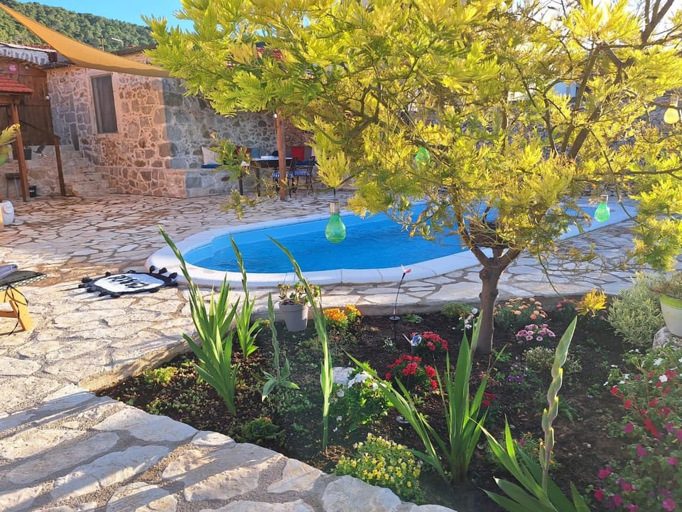 Garden, Swimming pool