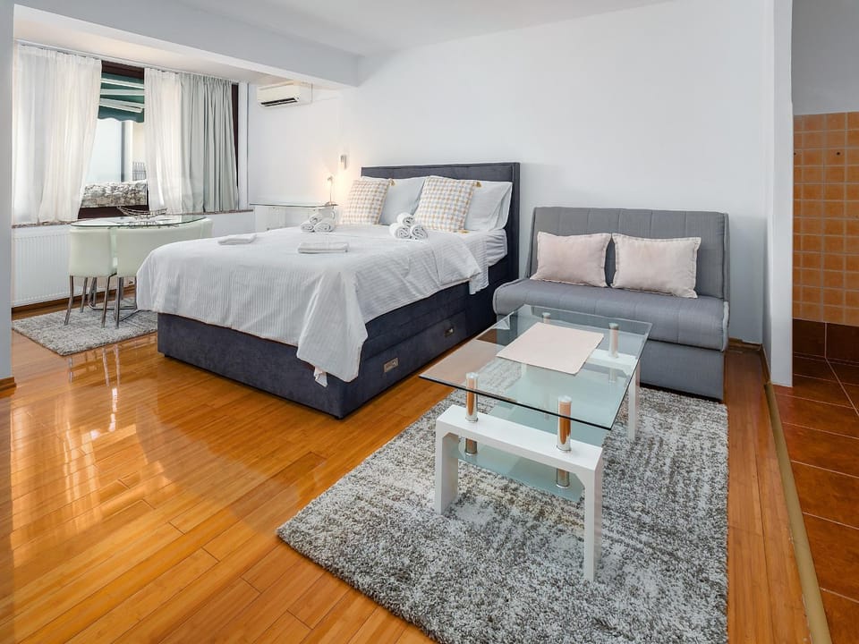 Studio Apartment ''Kalina'' 550 m from sea Apartment in Rijeka