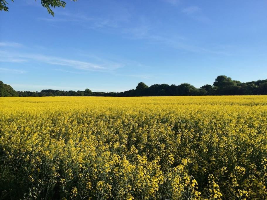 Apple Cottage -- Luxury Stay at Bellingham Estate House in Louth, Co. Louth, Ireland