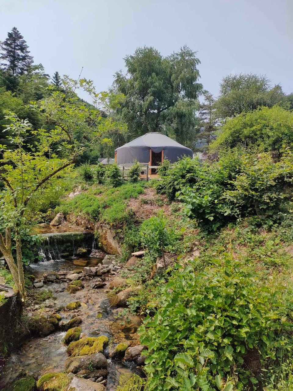 Natural landscape, Garden view