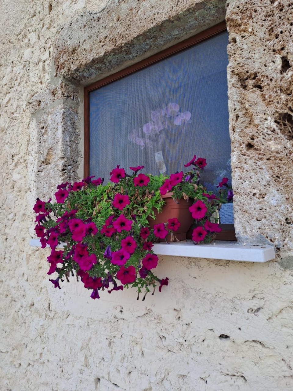 Agriturismo Pavoni Farm Stay in Lazio