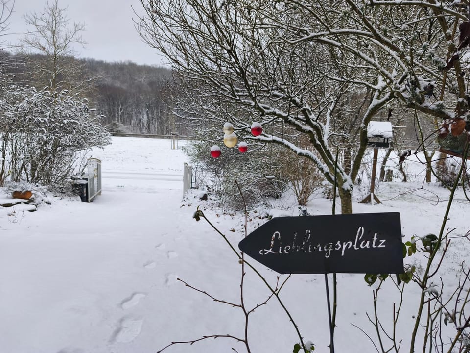 Natural landscape, Winter