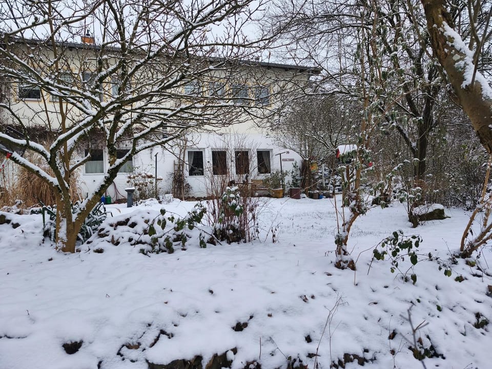 Property building, Winter