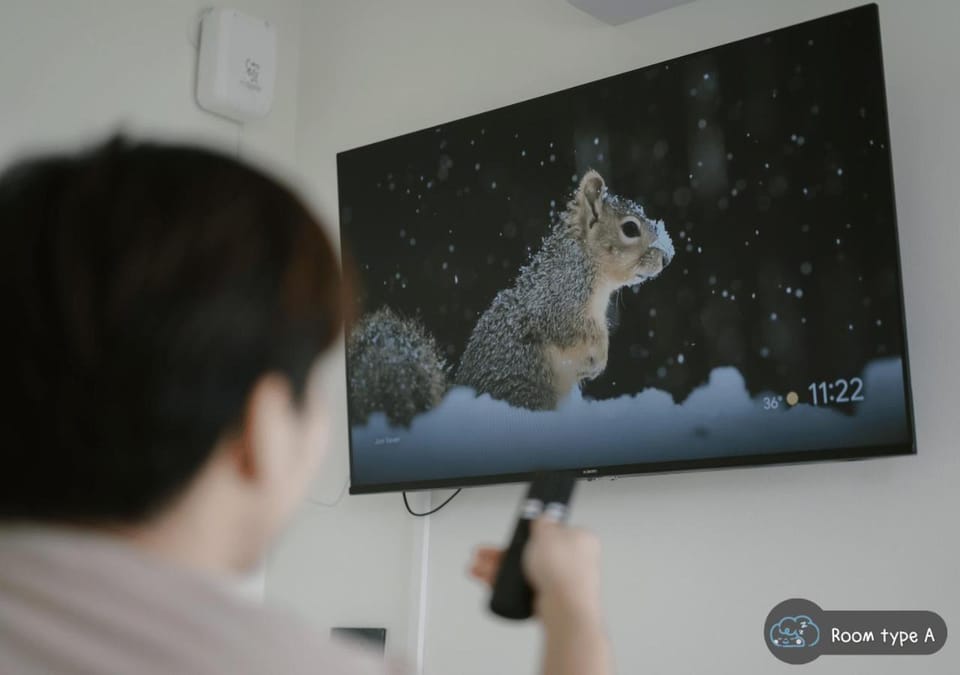TV and multimedia, TV and multimedia