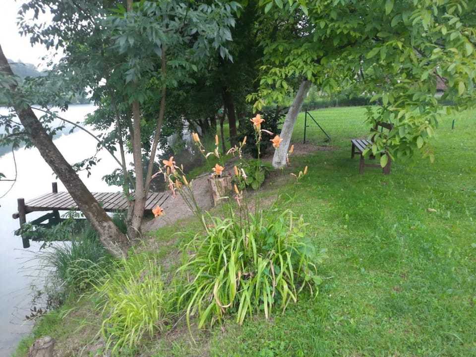 Day, Natural landscape, River view