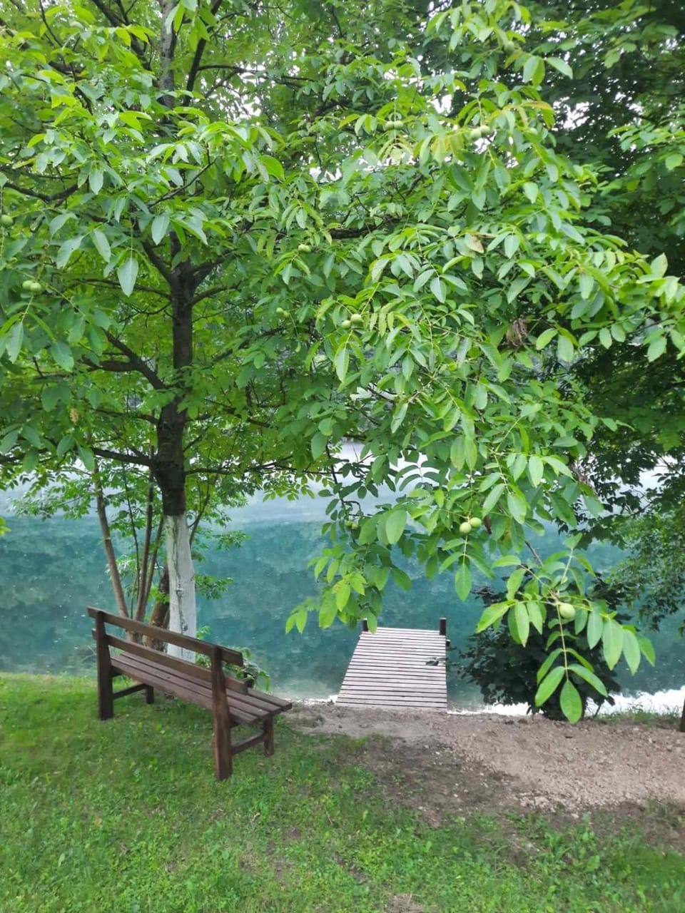 Day, Natural landscape, River view