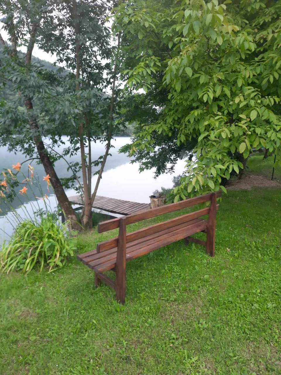 Day, Natural landscape, River view