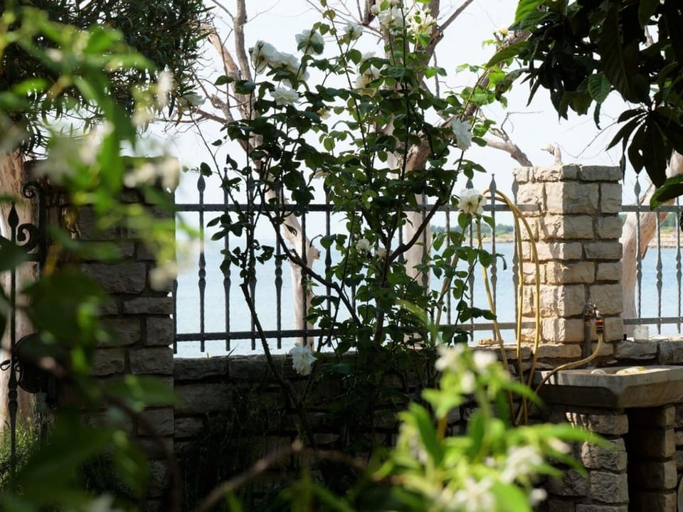 Apartments Sveti Ivan Bed and Breakfast in Istria County