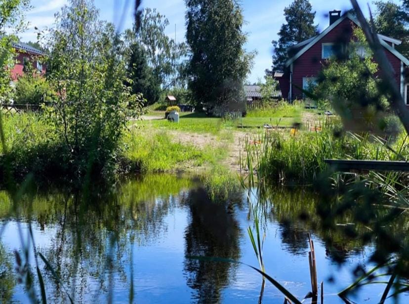 Koselig hytte langs elven Country House in Viken, Norway