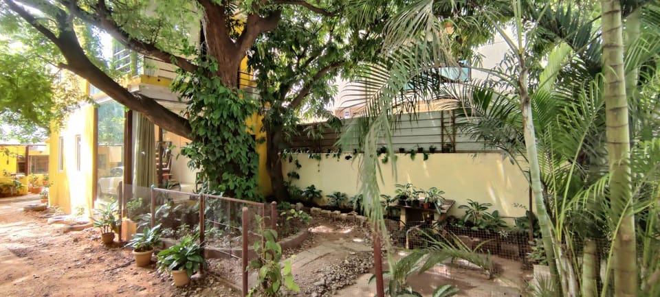 Facade/entrance, Garden