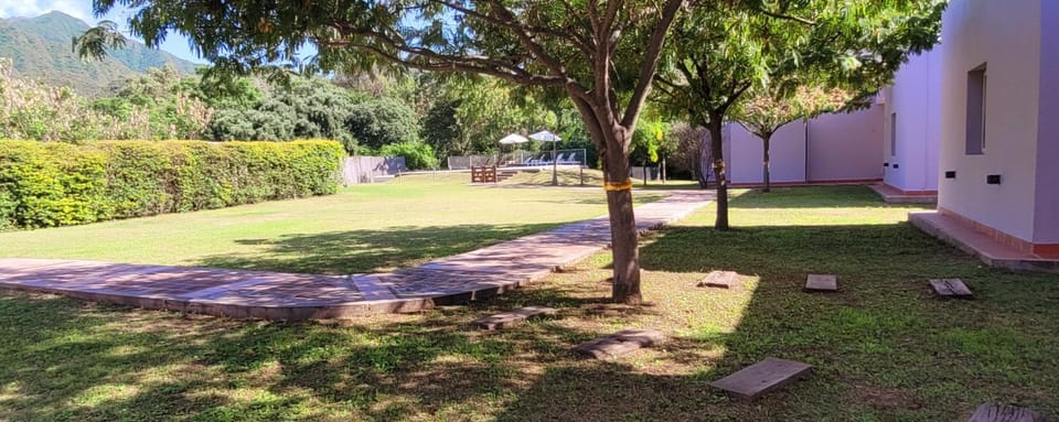 Garden view