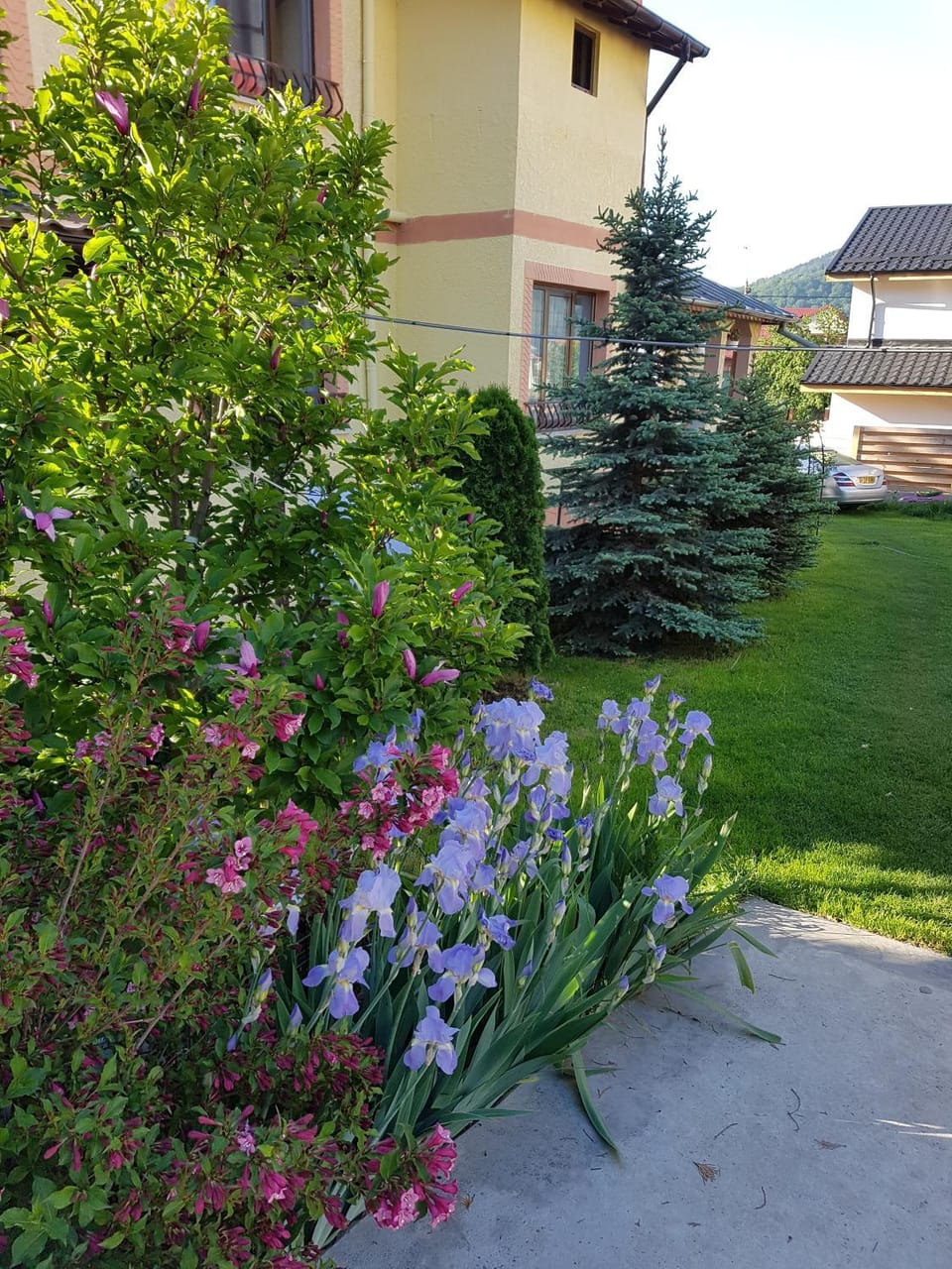 Pensiunea BRADU Bed and Breakfast in Romania